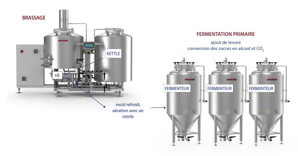 Fermentation primaire